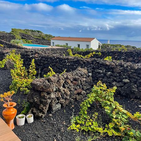 Insula Vinus Apartments Мадалена Екстер'єр фото