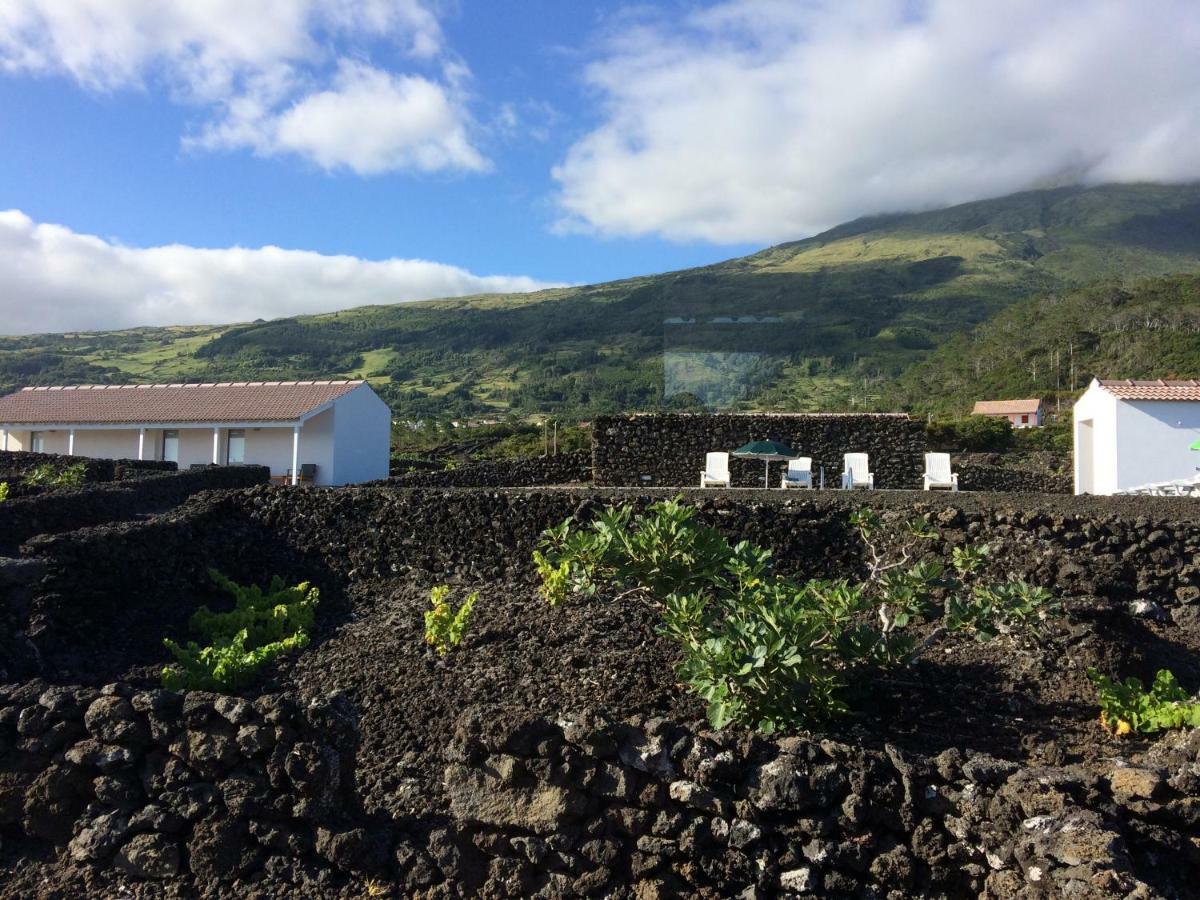 Insula Vinus Apartments Мадалена Екстер'єр фото