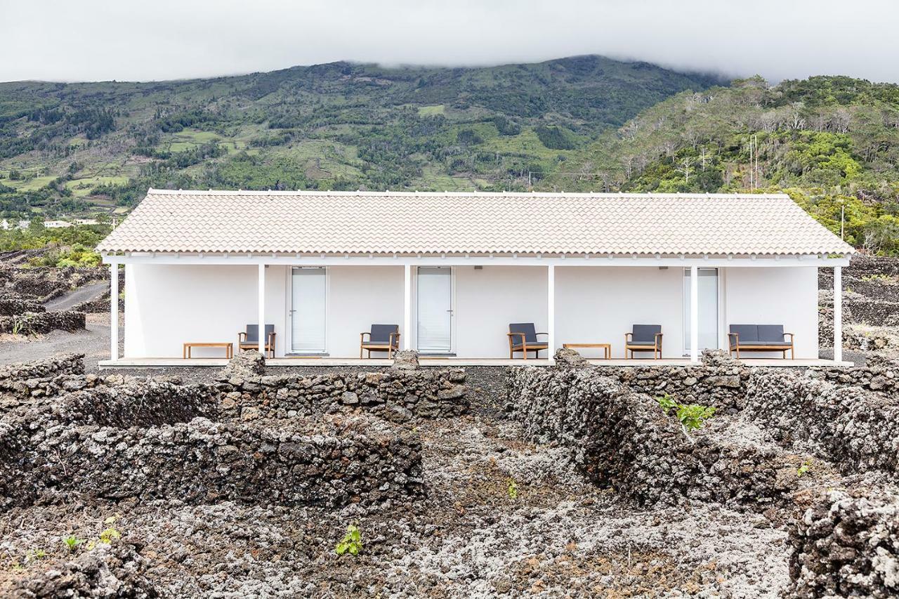 Insula Vinus Apartments Мадалена Екстер'єр фото